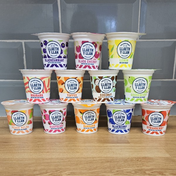  12 Mixed Yogurts